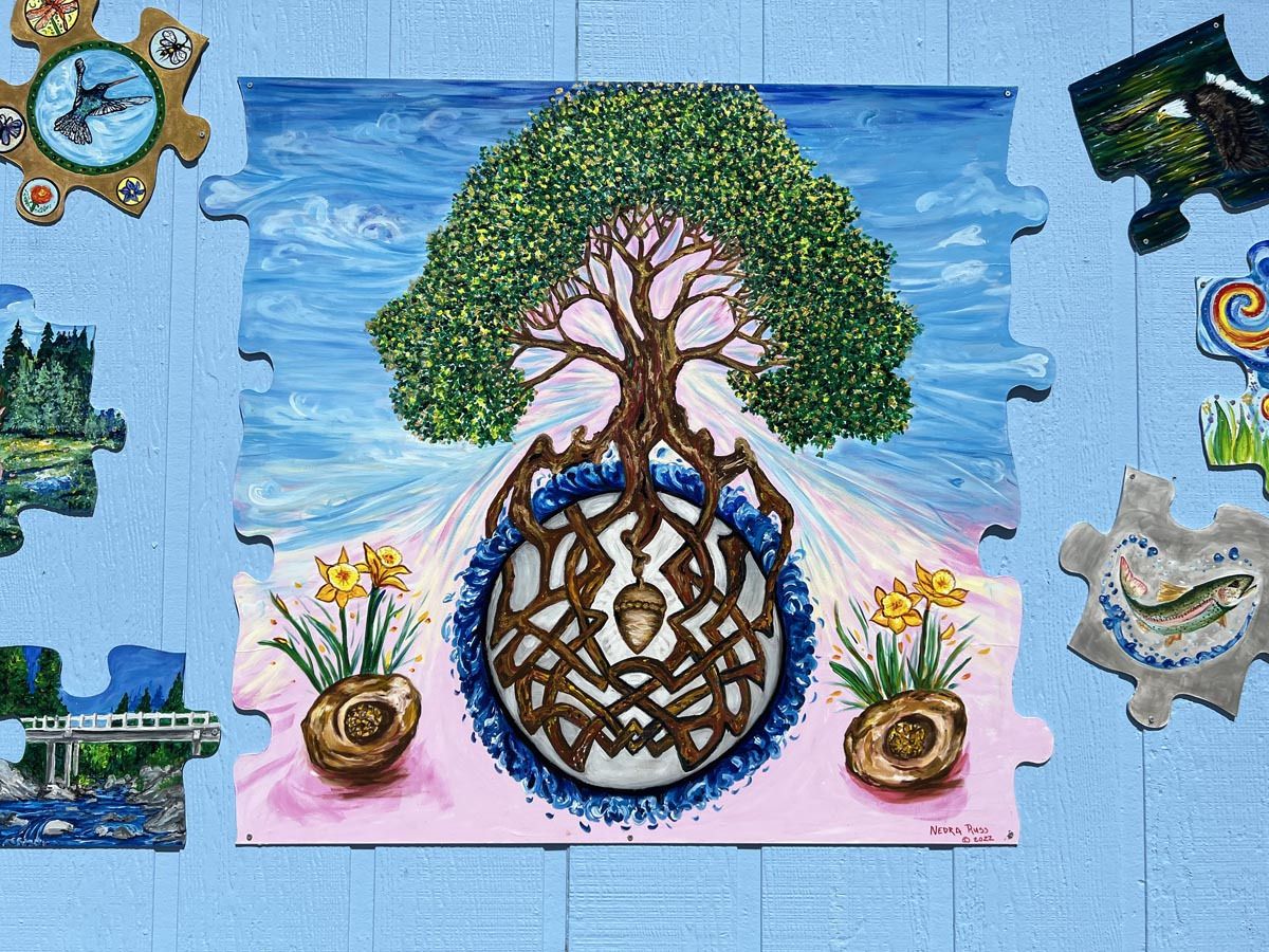 03 rejuvenationx900 03 rejuvenationx900