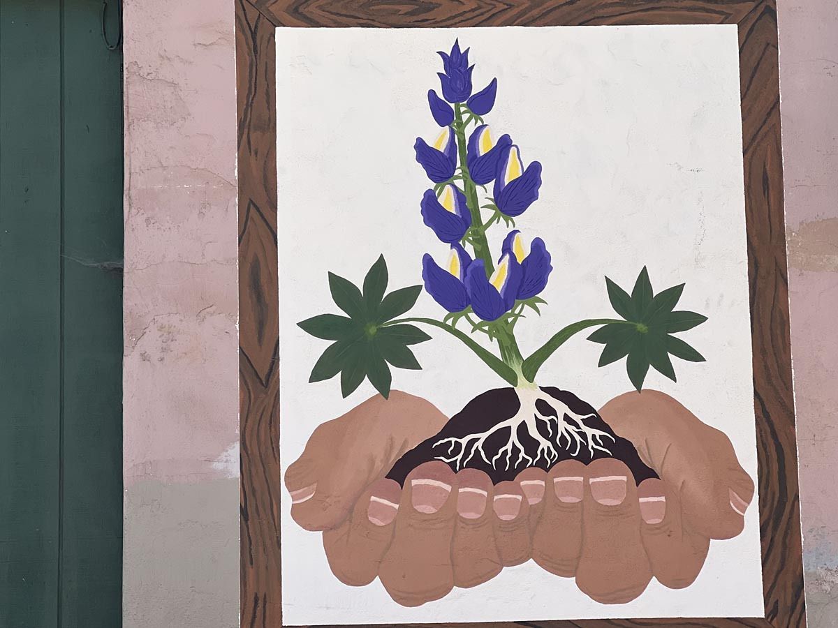 06 resilence bloomingx900 06 resilence bloomingx900