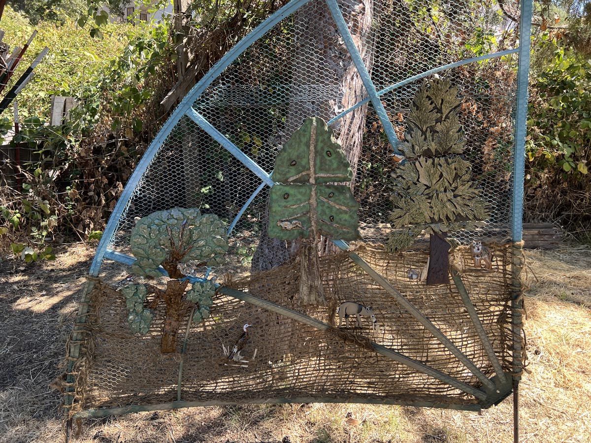 09 indigenous lifex900 09 indigenous lifex900