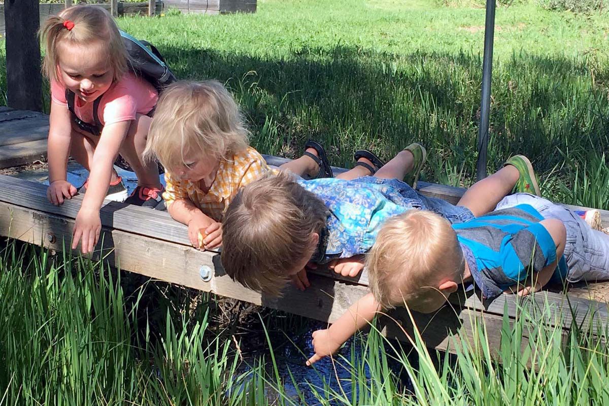 community garden 01x800 community garden 01x800