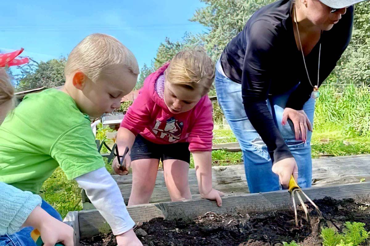 garden 01 3xx800 garden 01 3xx800