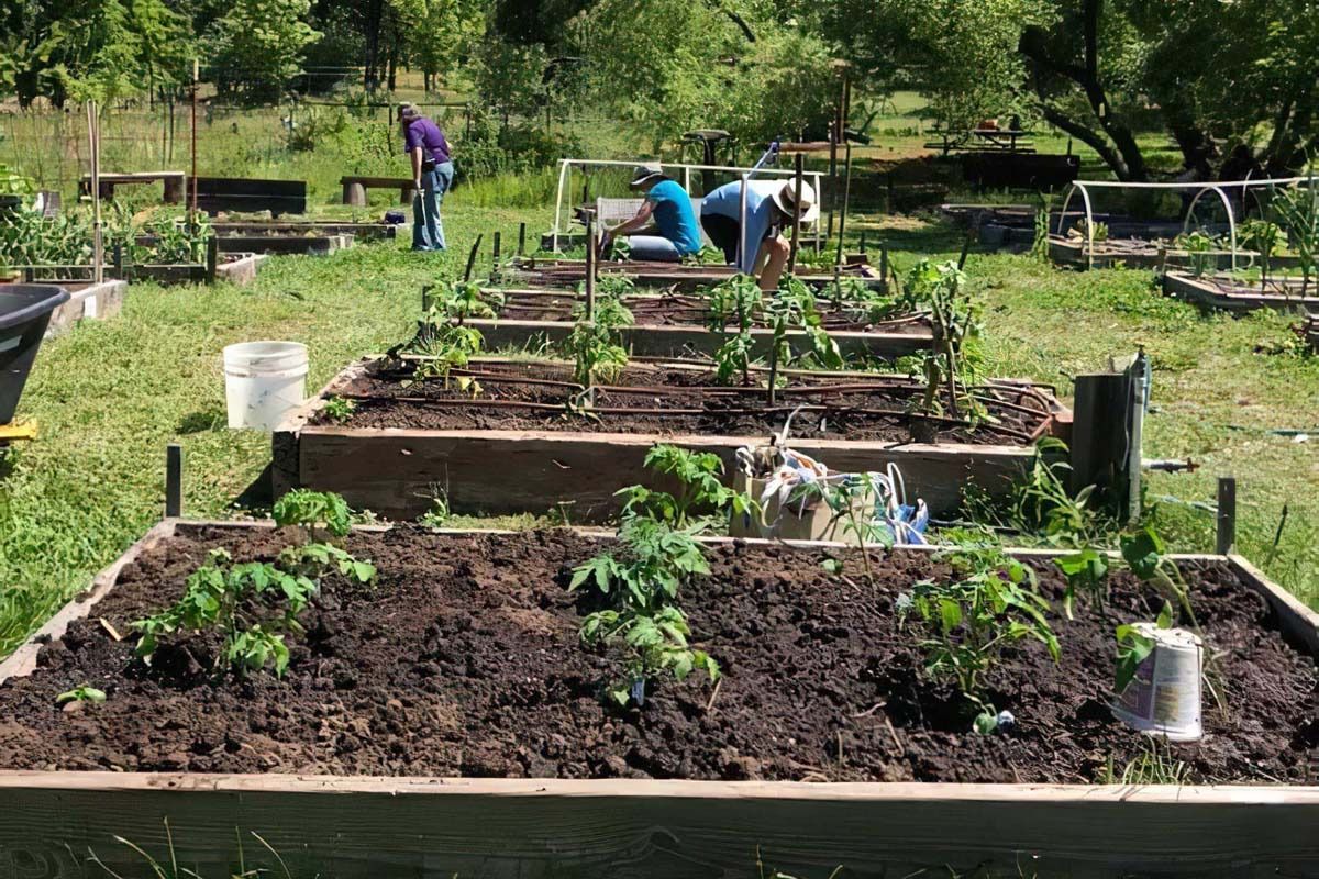 garden 02 3xx800 garden 02 3xx800