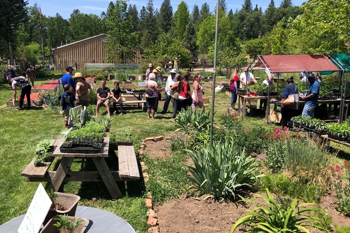 garden 03x800 garden 03x800