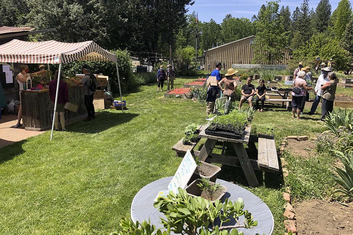 garden 2021 01x800 garden 2021 01x800