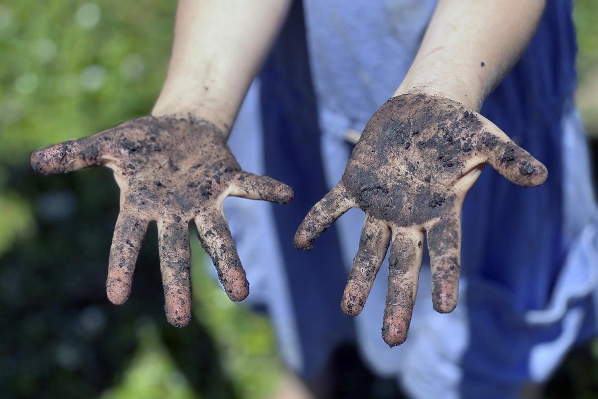 garden handsx800 garden handsx800