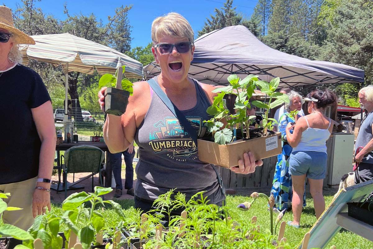 plant sale 01x800 plant sale 01x800