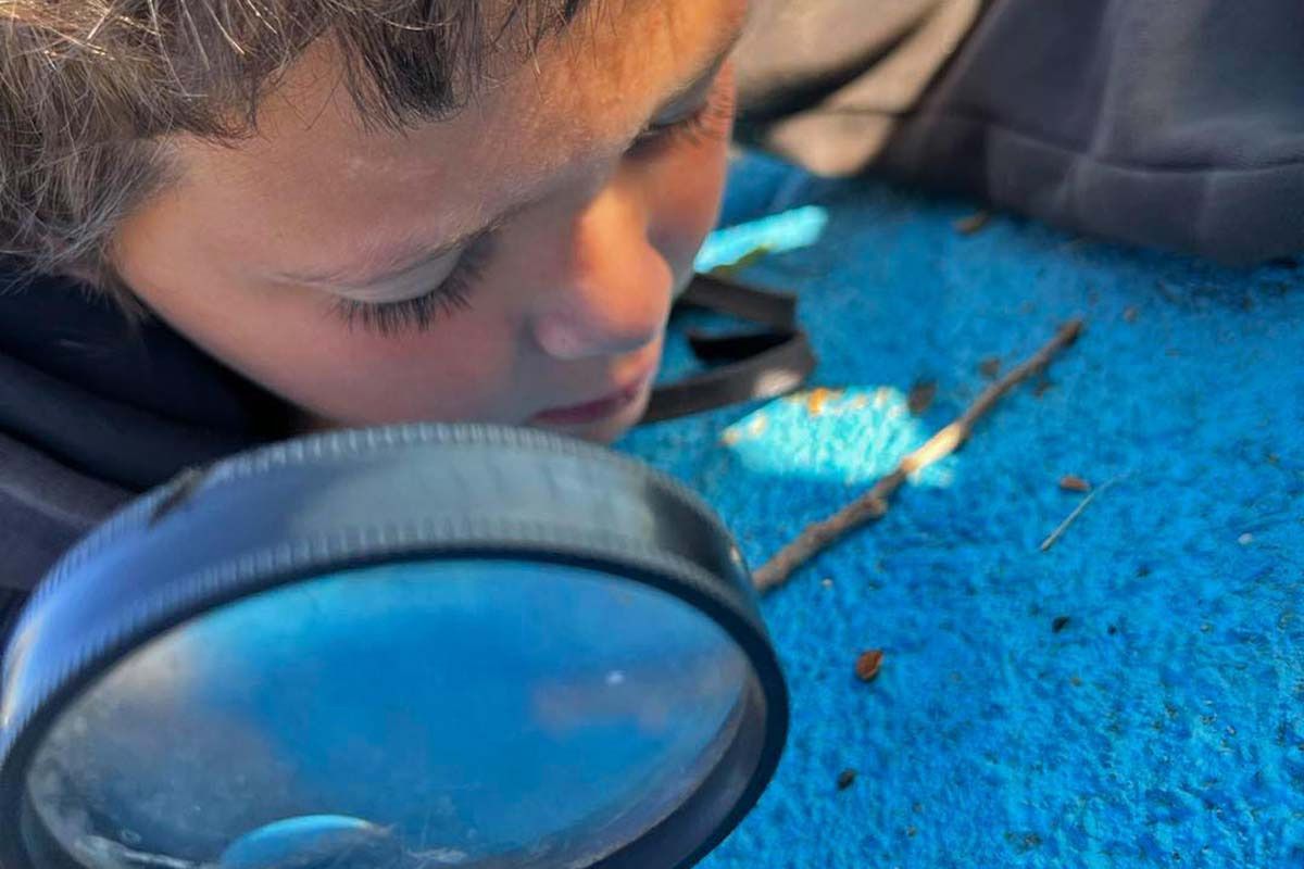 magnifying 01x800 magnifying 01x800